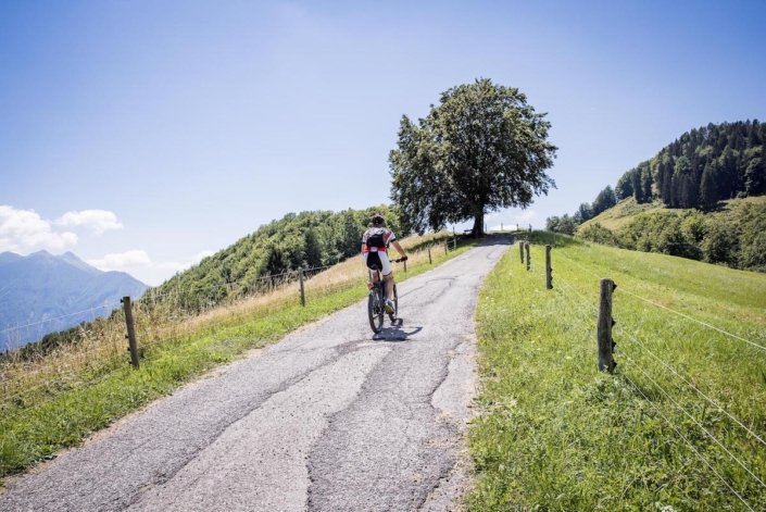 Verso il faggio solitario di Pani