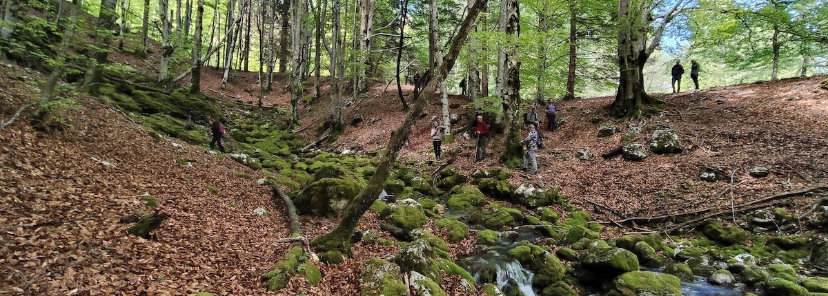 La sorgente dell'Arzino La sorgente dell'Arzino
